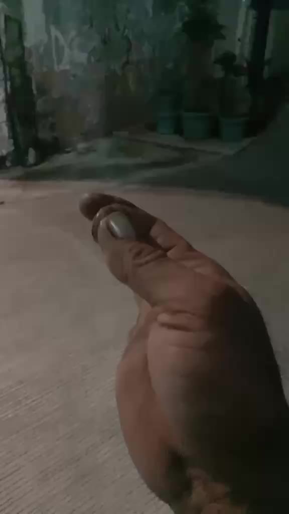 review image 7