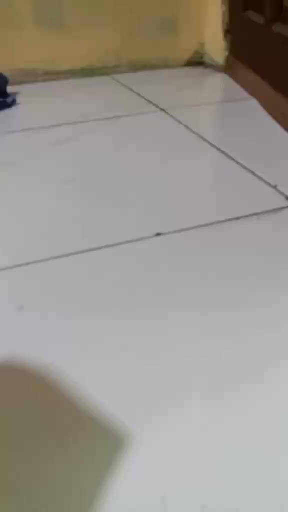 review image 3