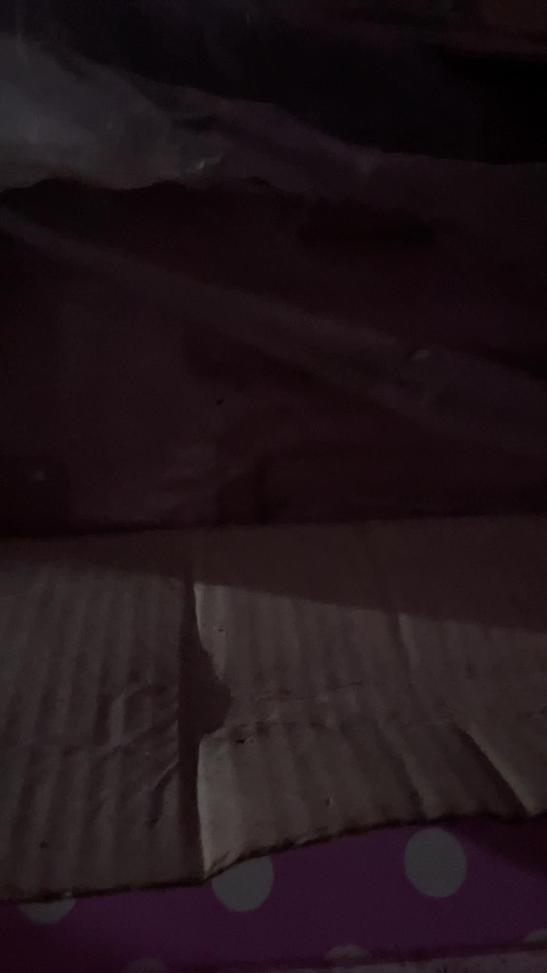 review image 11
