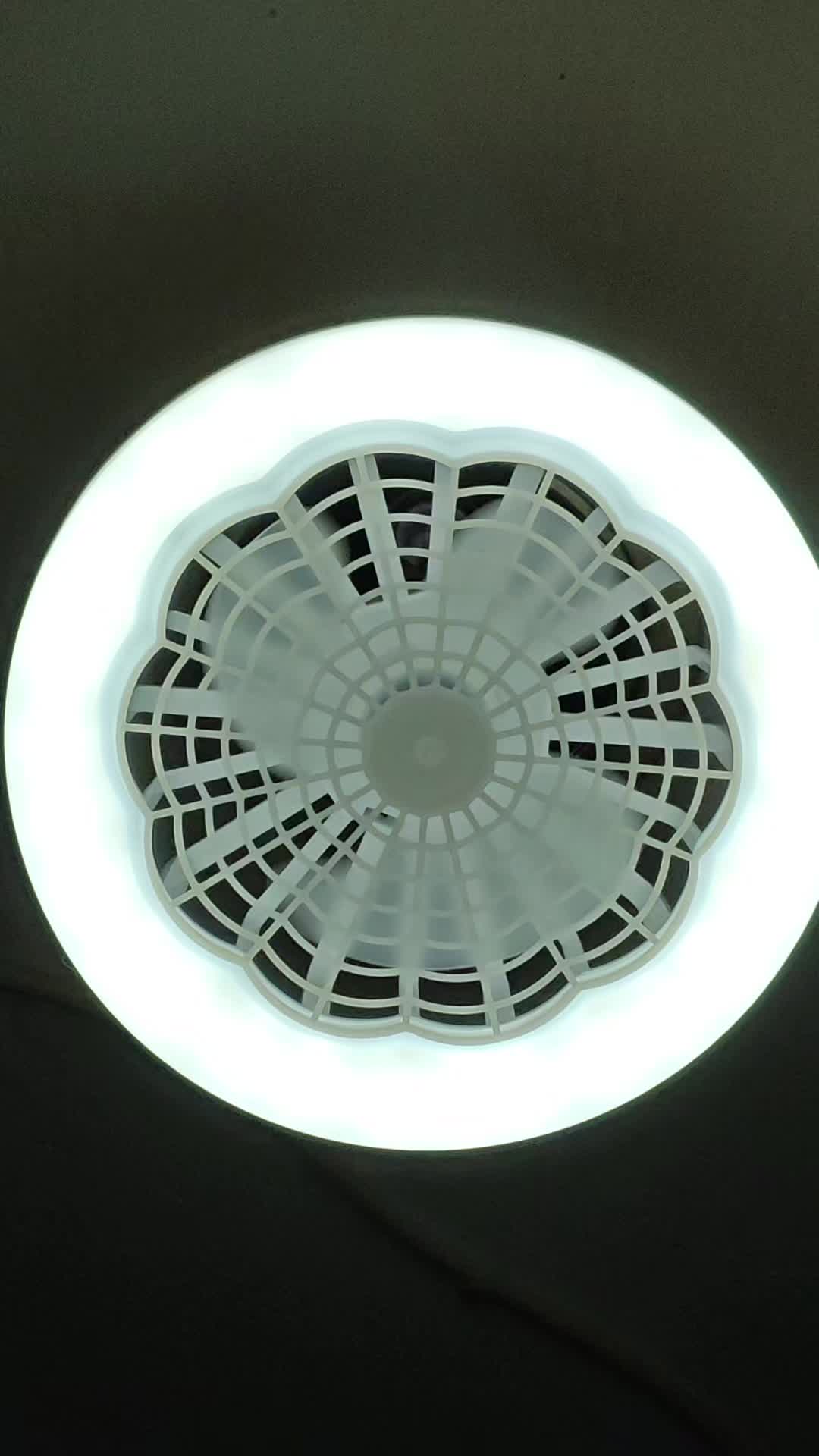 review image 10