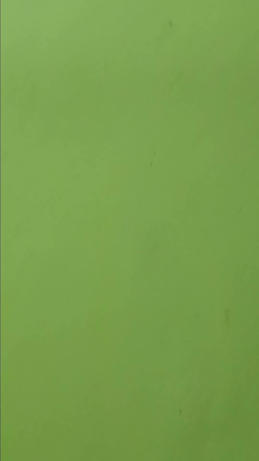 review image 2