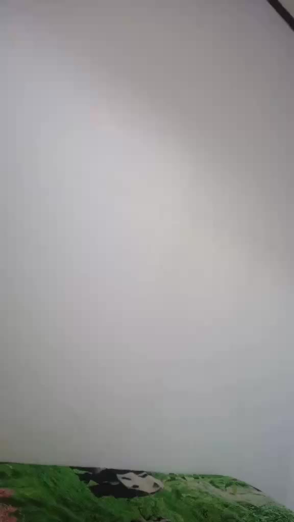review image 12
