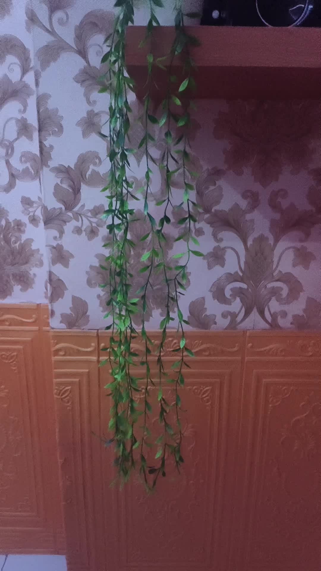 review image 5