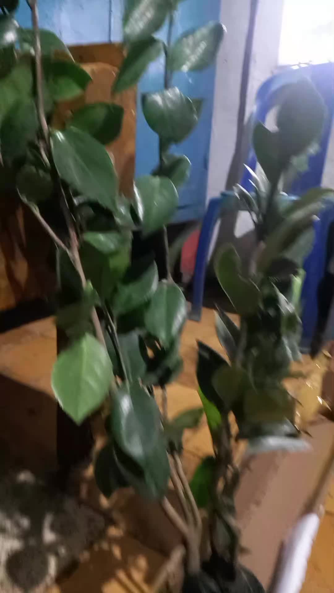 review image 7