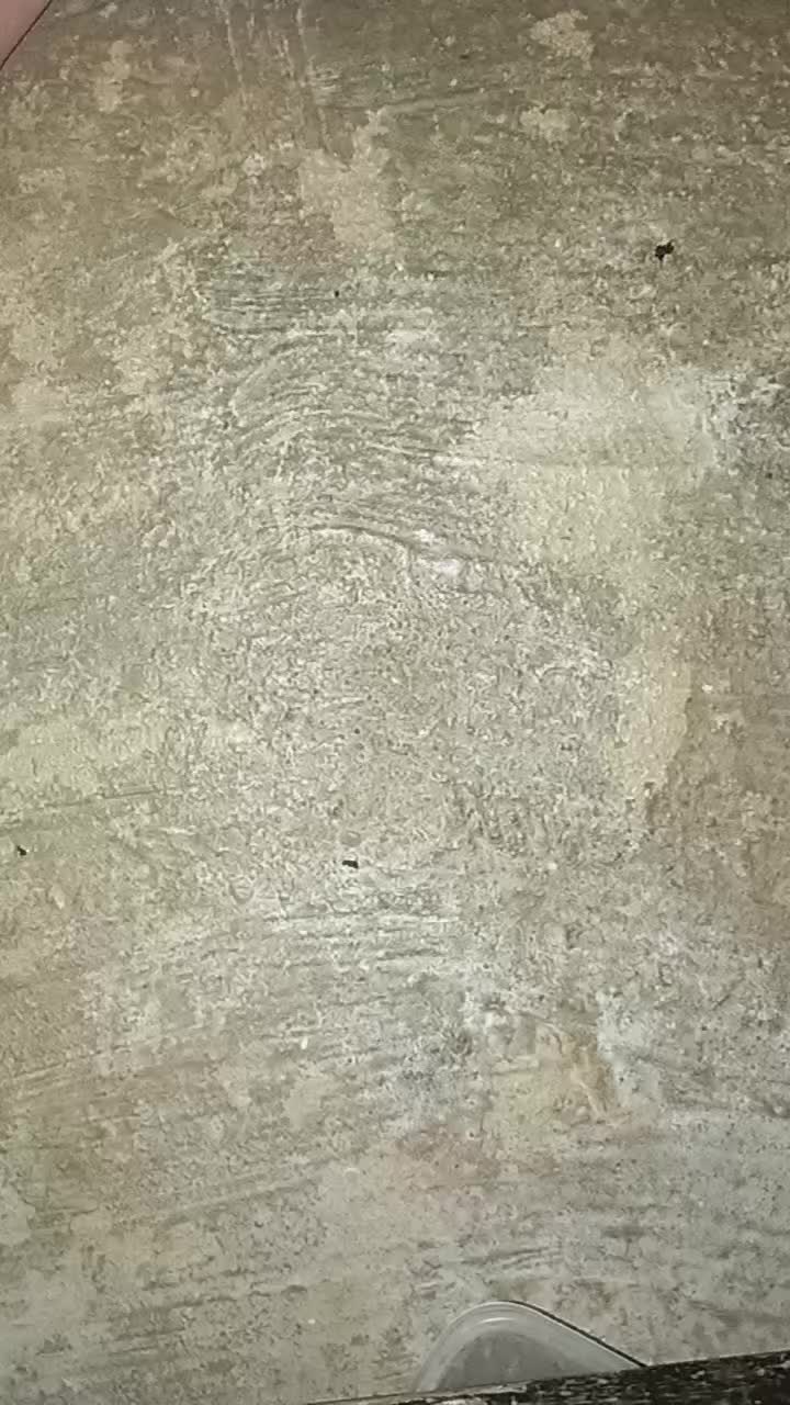 review image 4