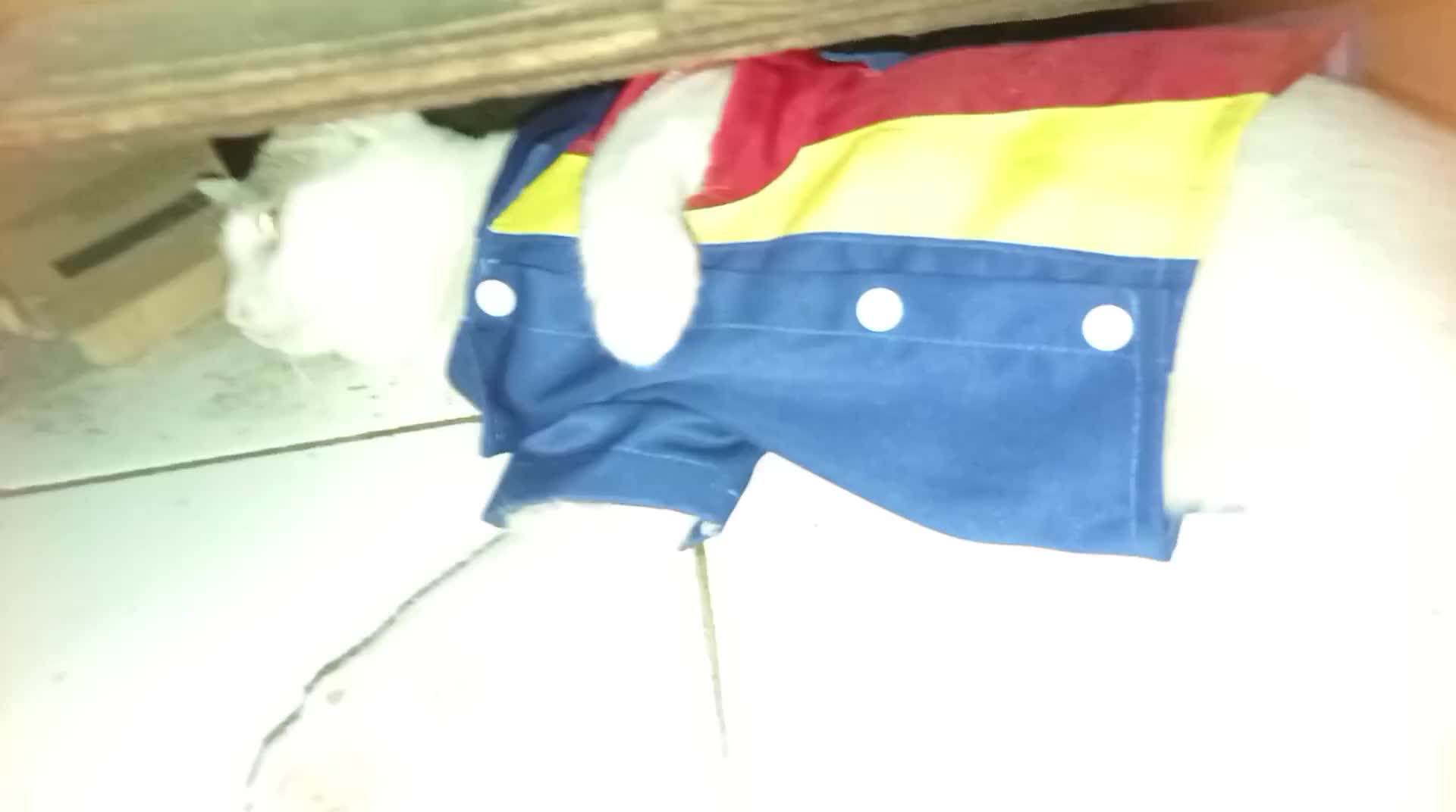 review image 1