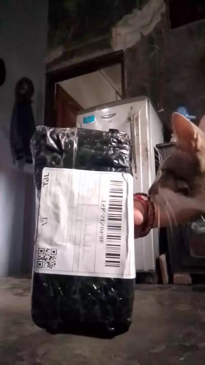 review image 4