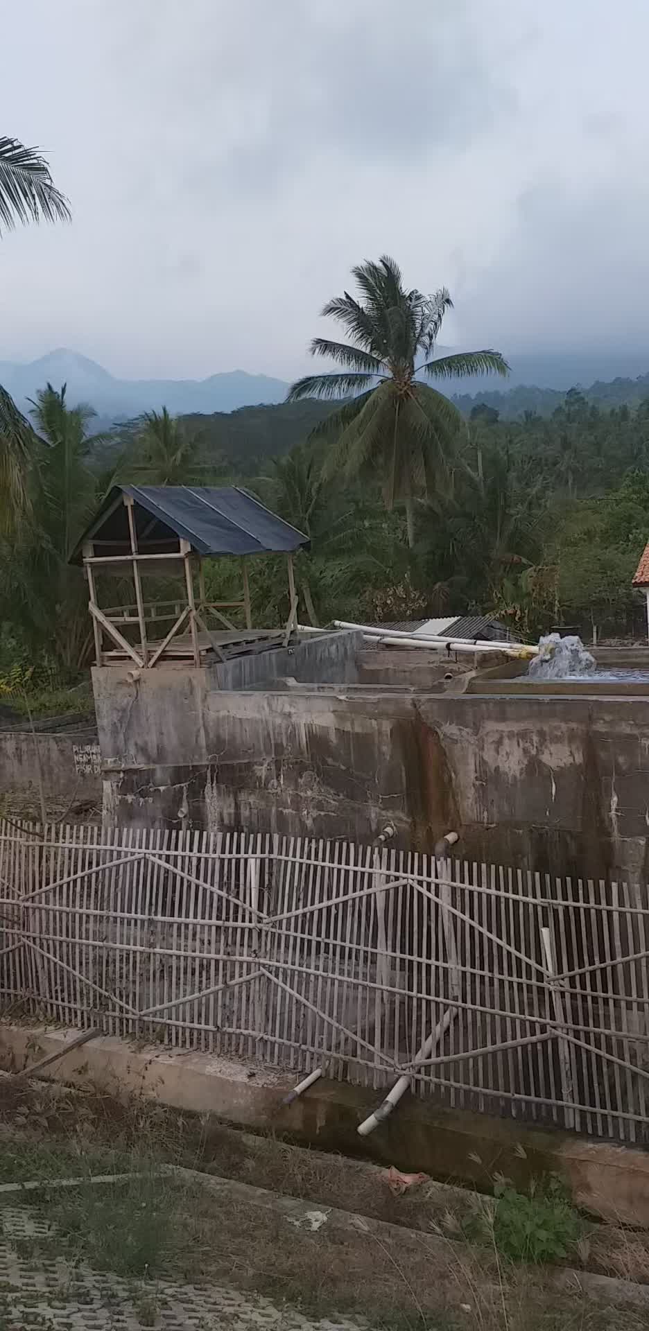 review image 9