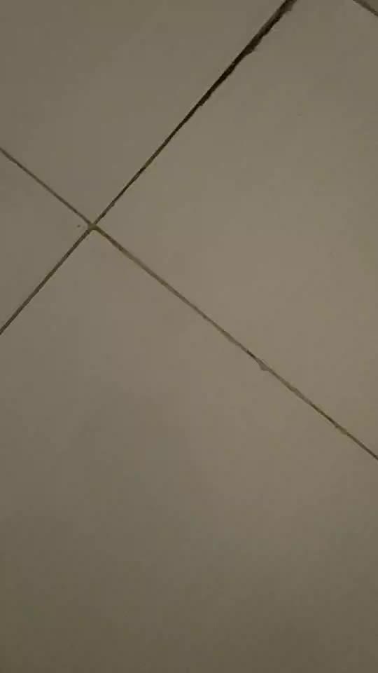 review image 11