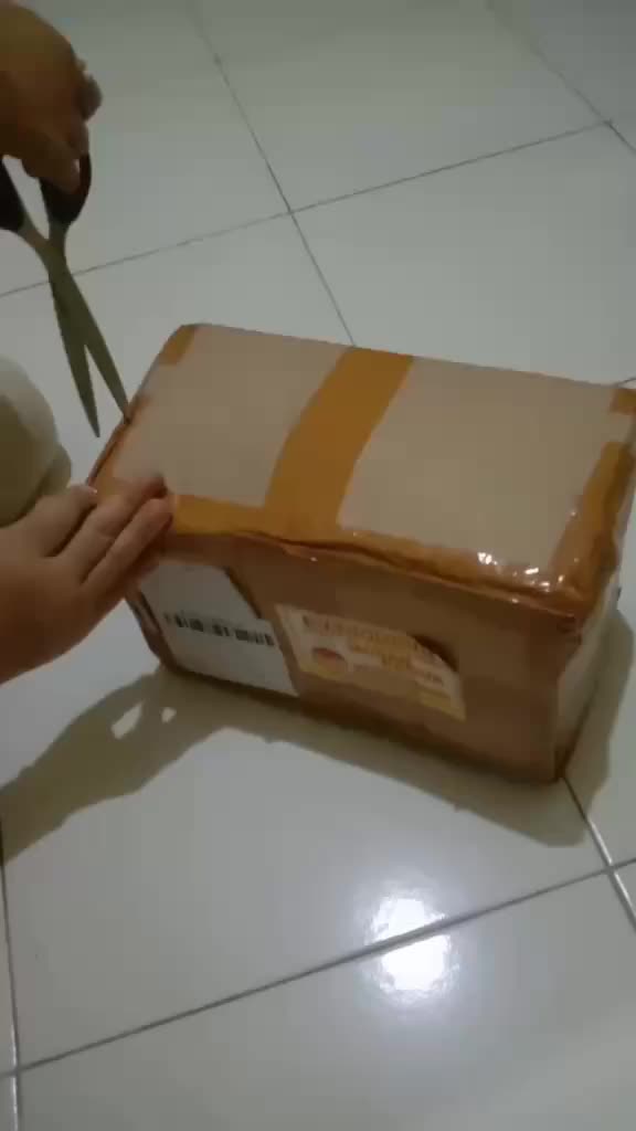 review image 5