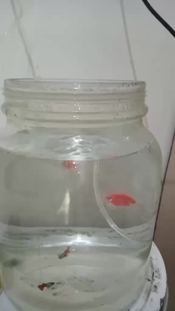 review image 8