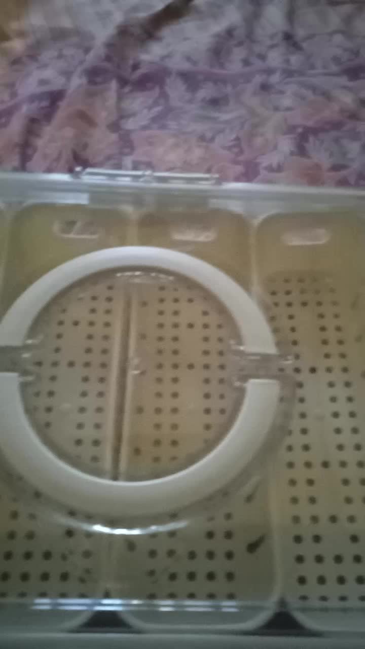 review image 5