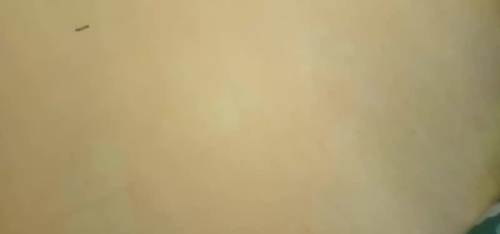 review image 13