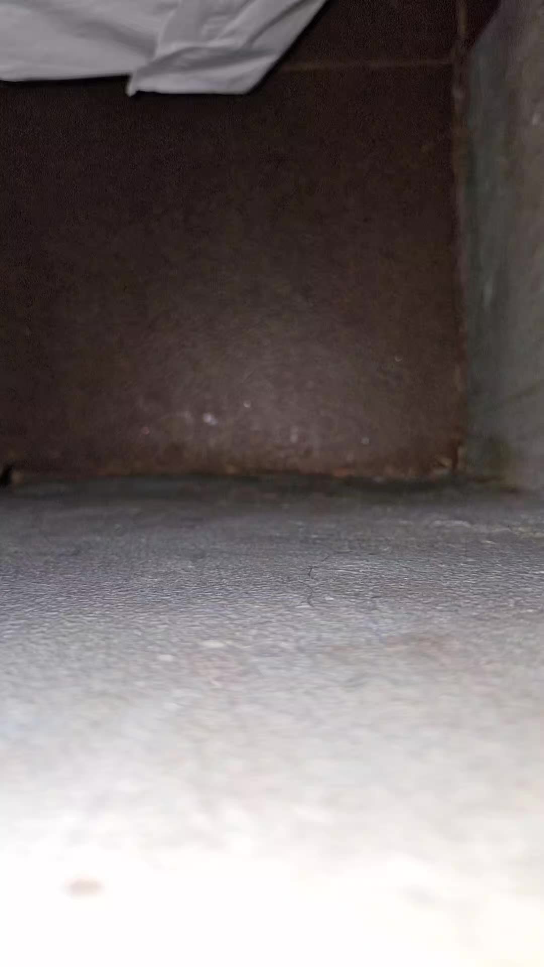 review image 9