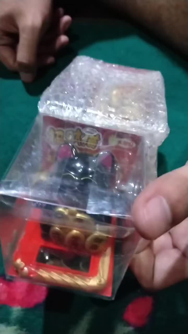 review image 9