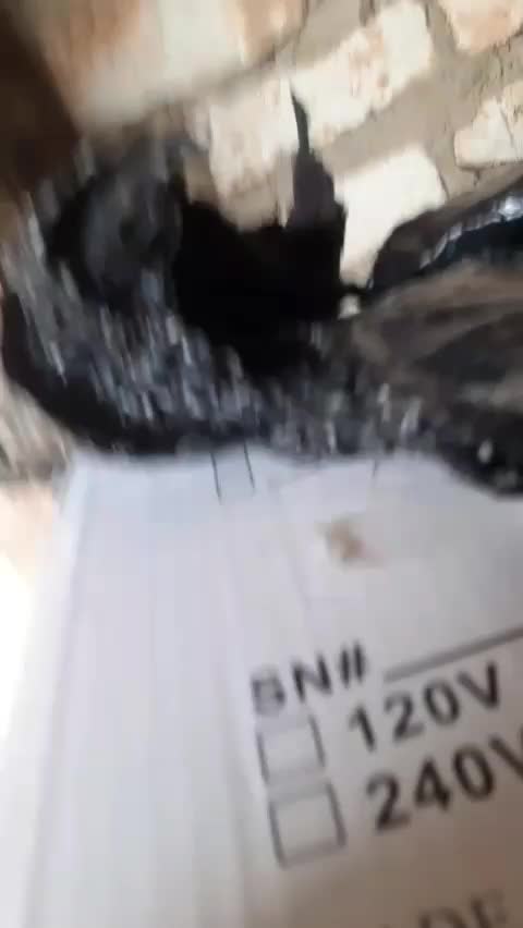 review image 7