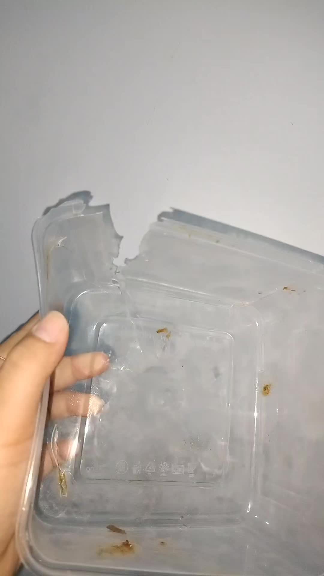 review image 2