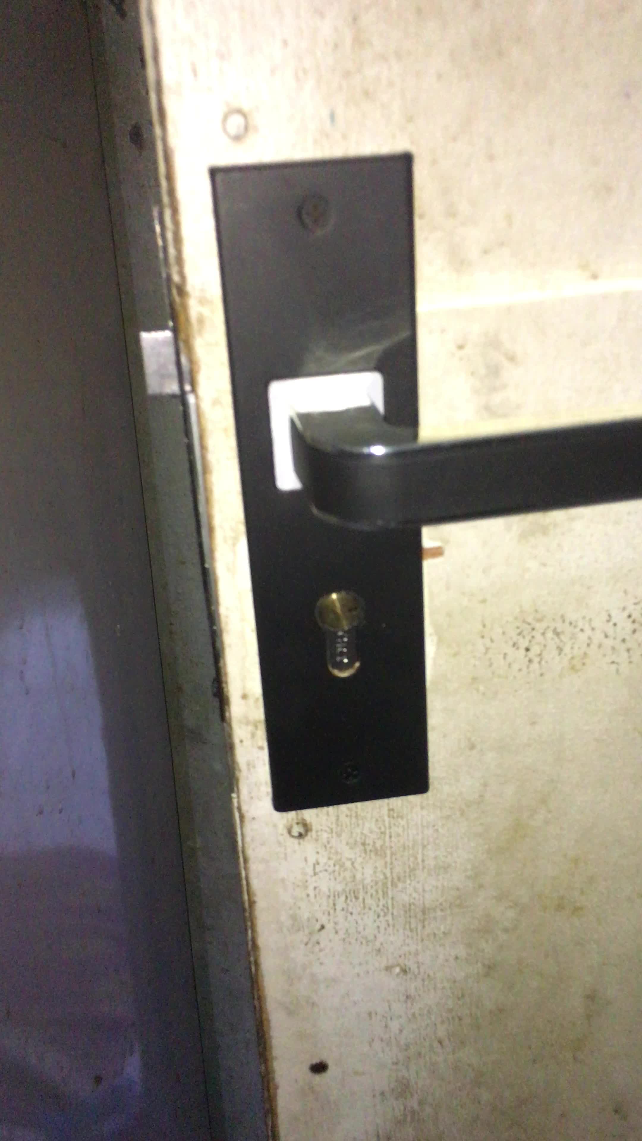 review image 5