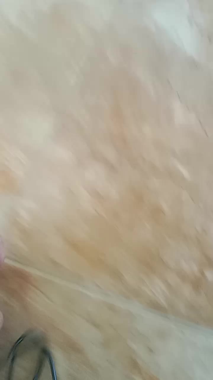 review image 10