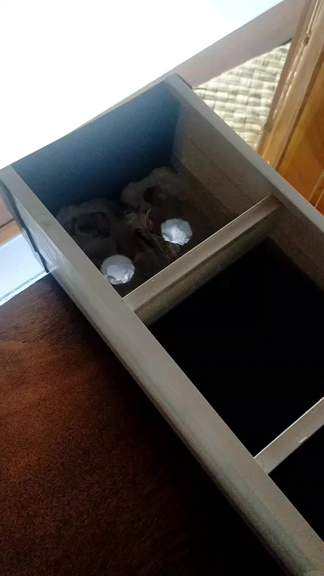 review image 5