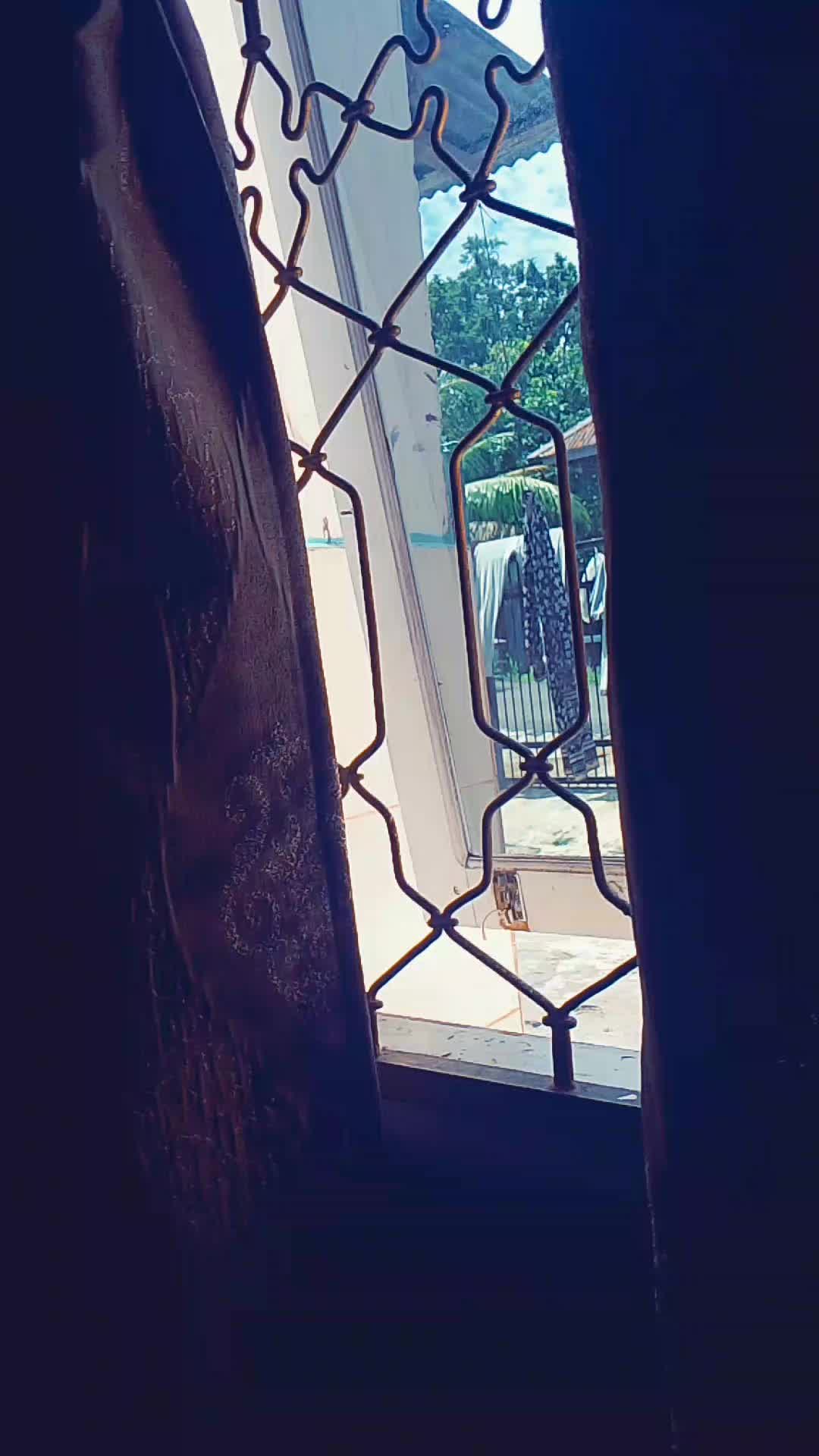 review image 9