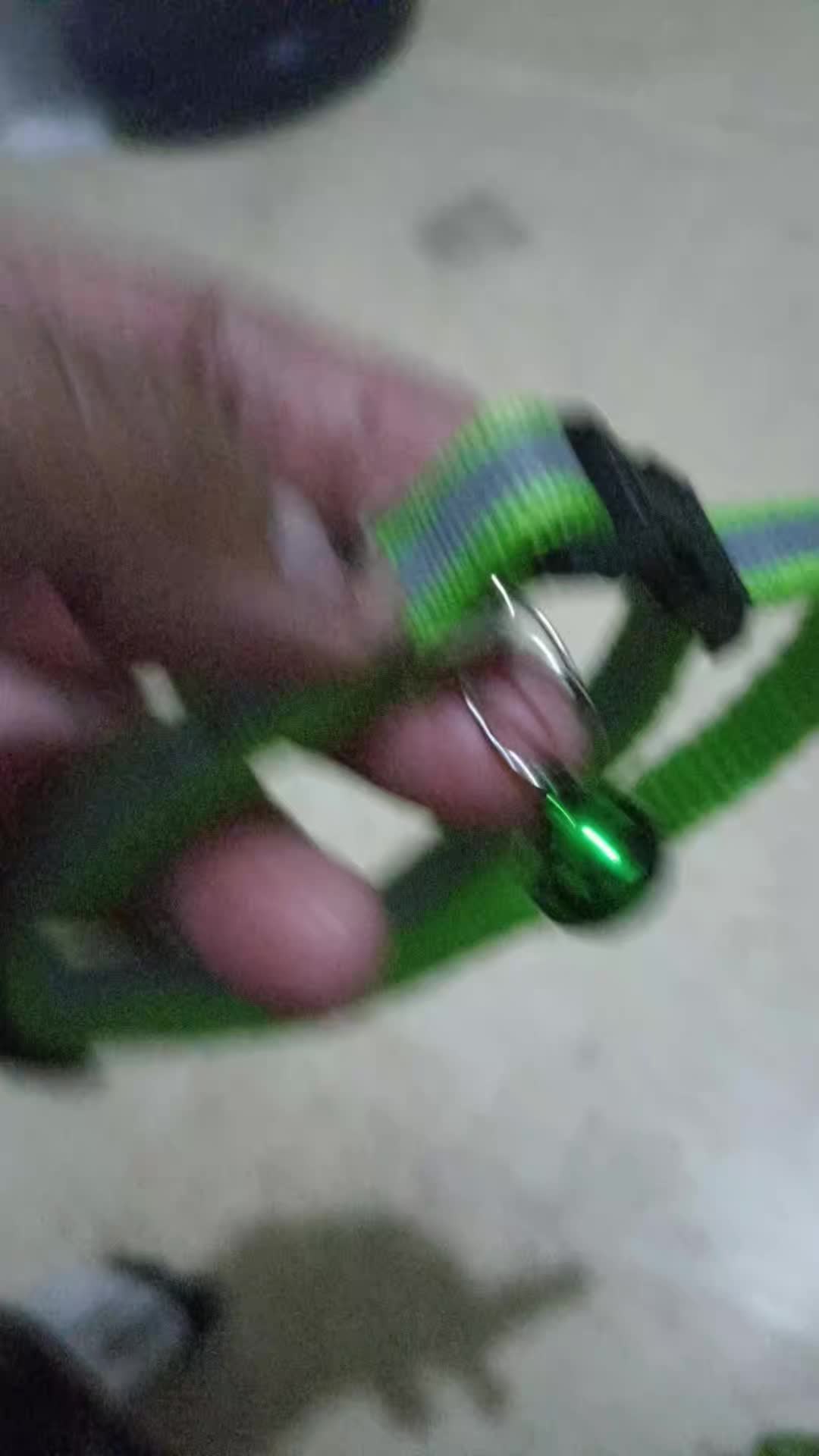 review image 5