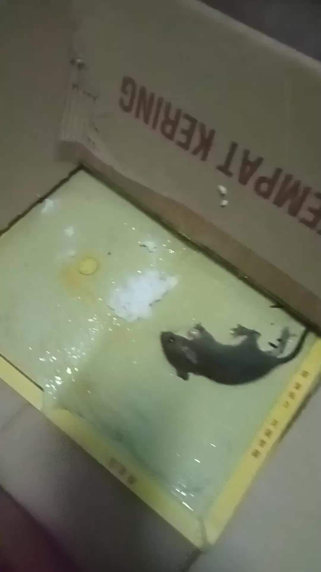 review image 3