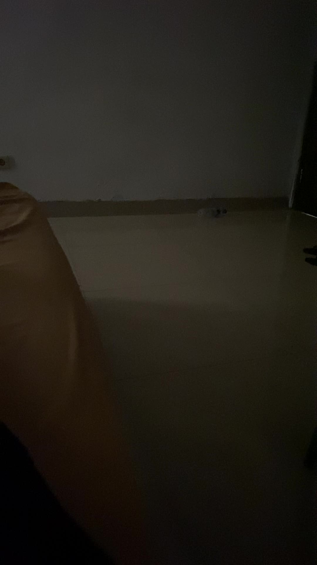 review image 2