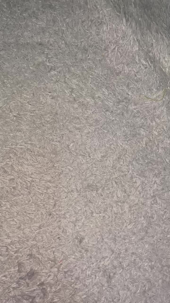 review image 2