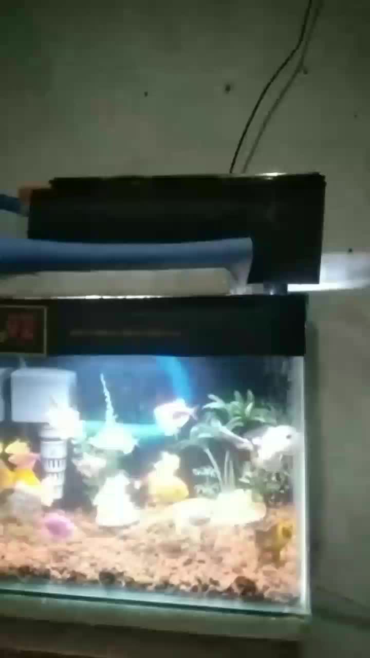 review image 1