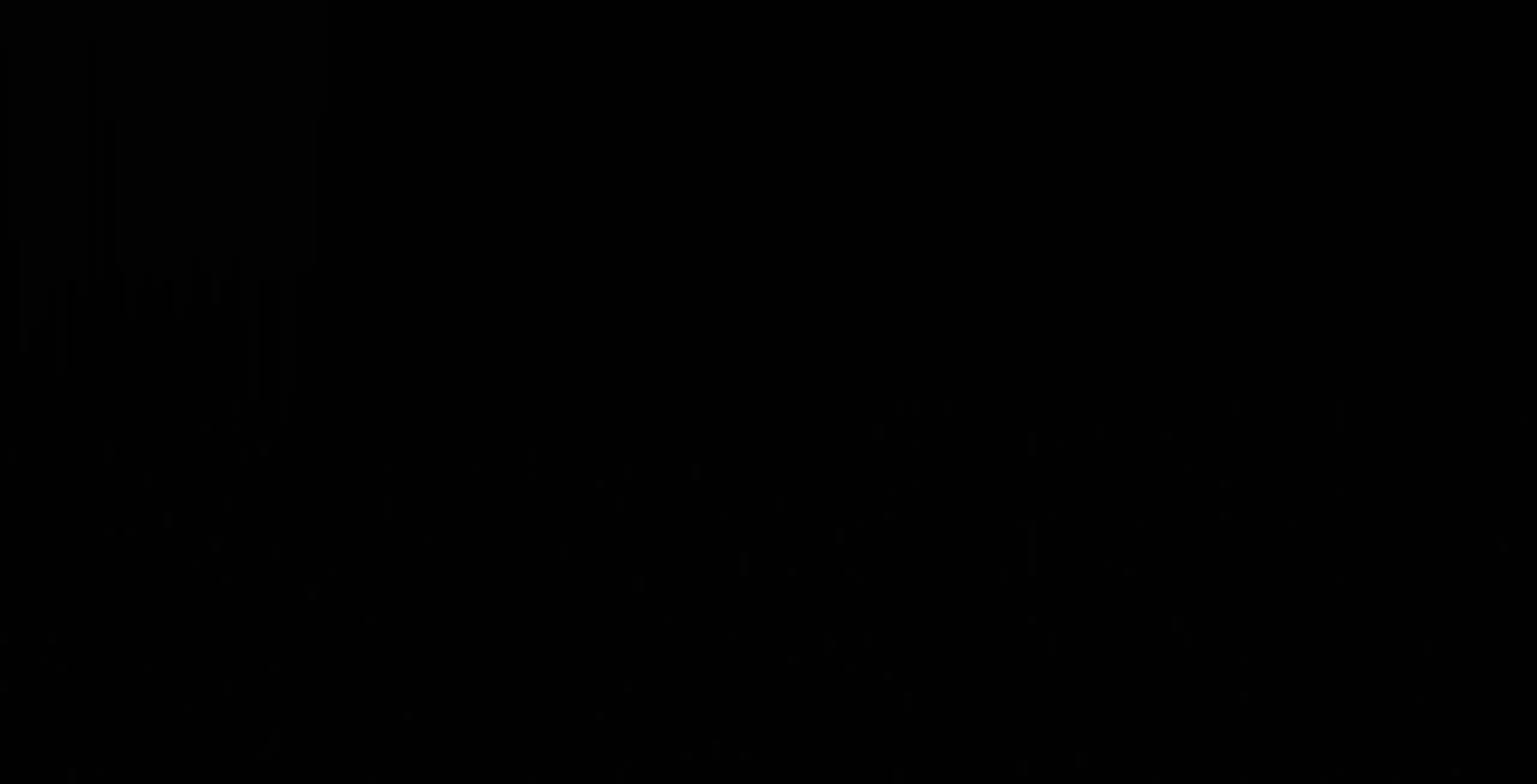 review image 11