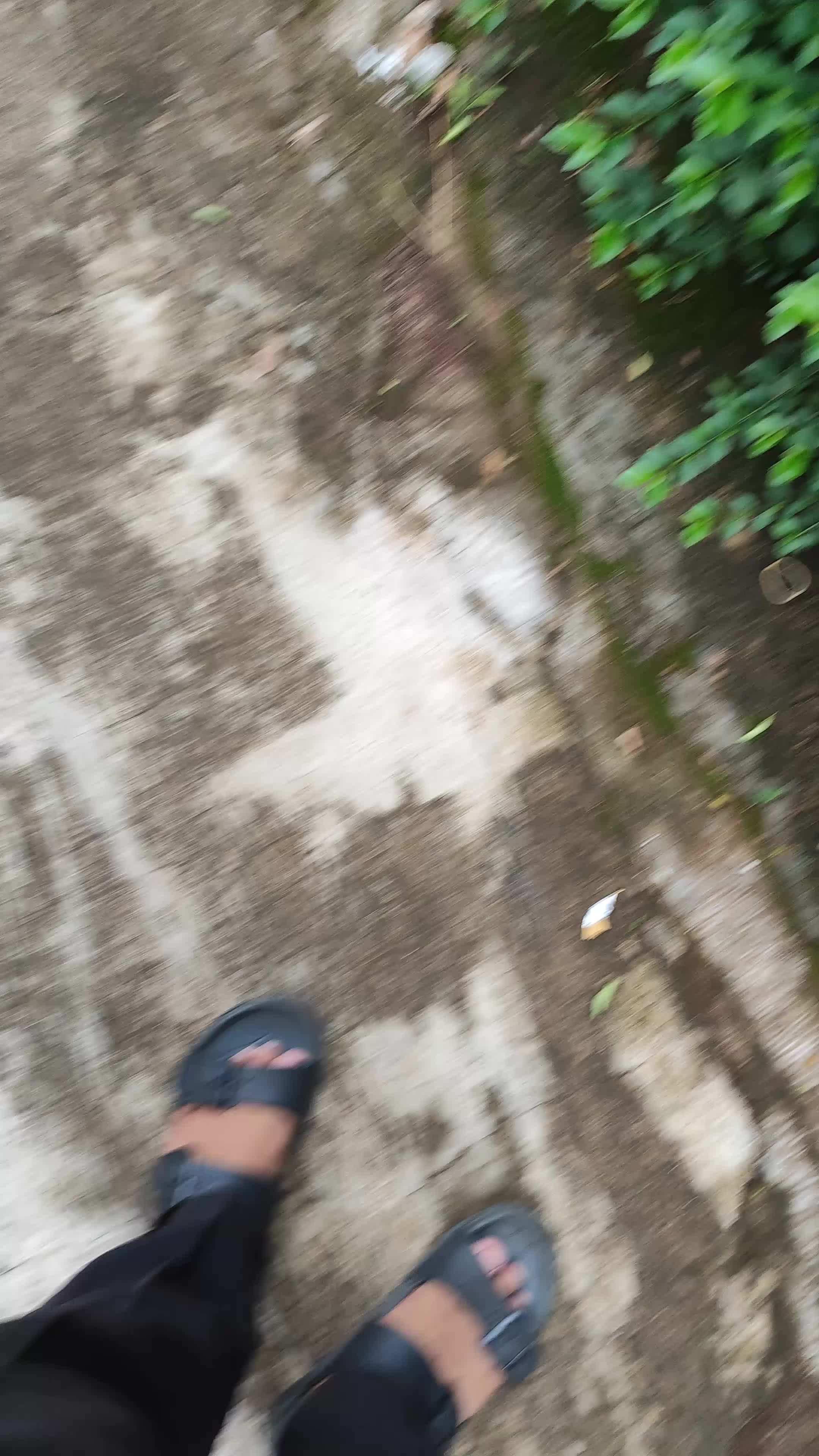 review image 2
