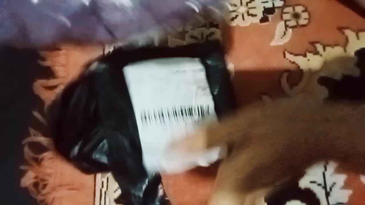 review image 2