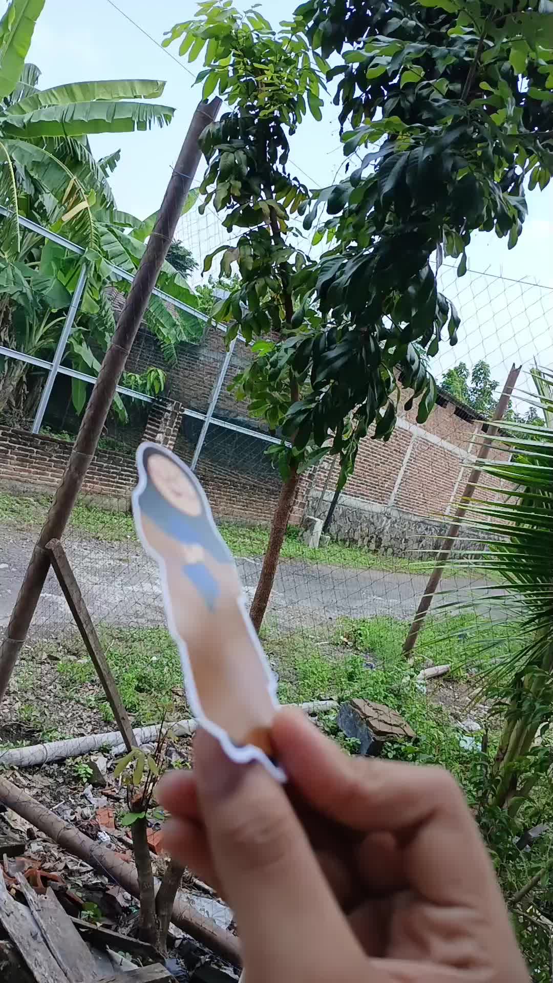 review image 0
