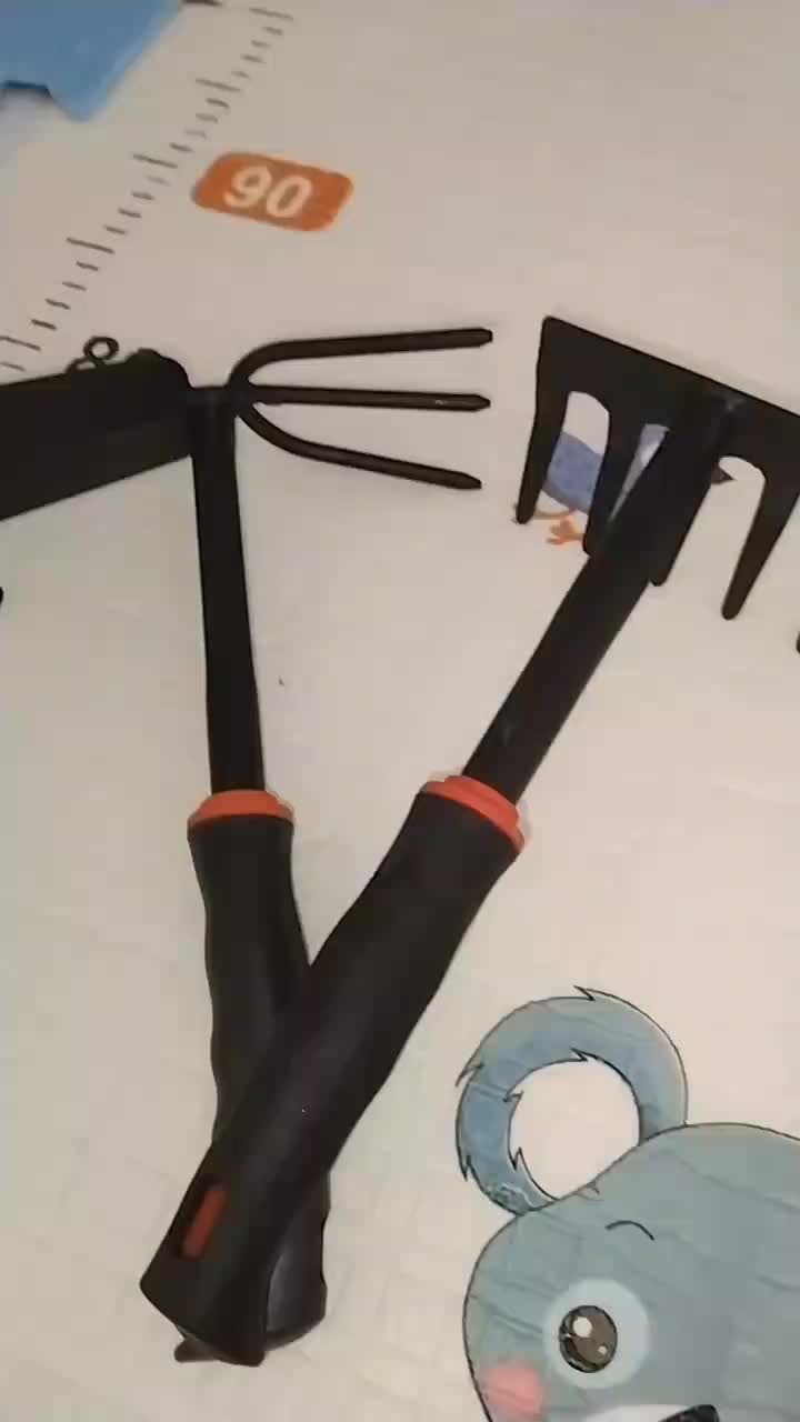 review image 6