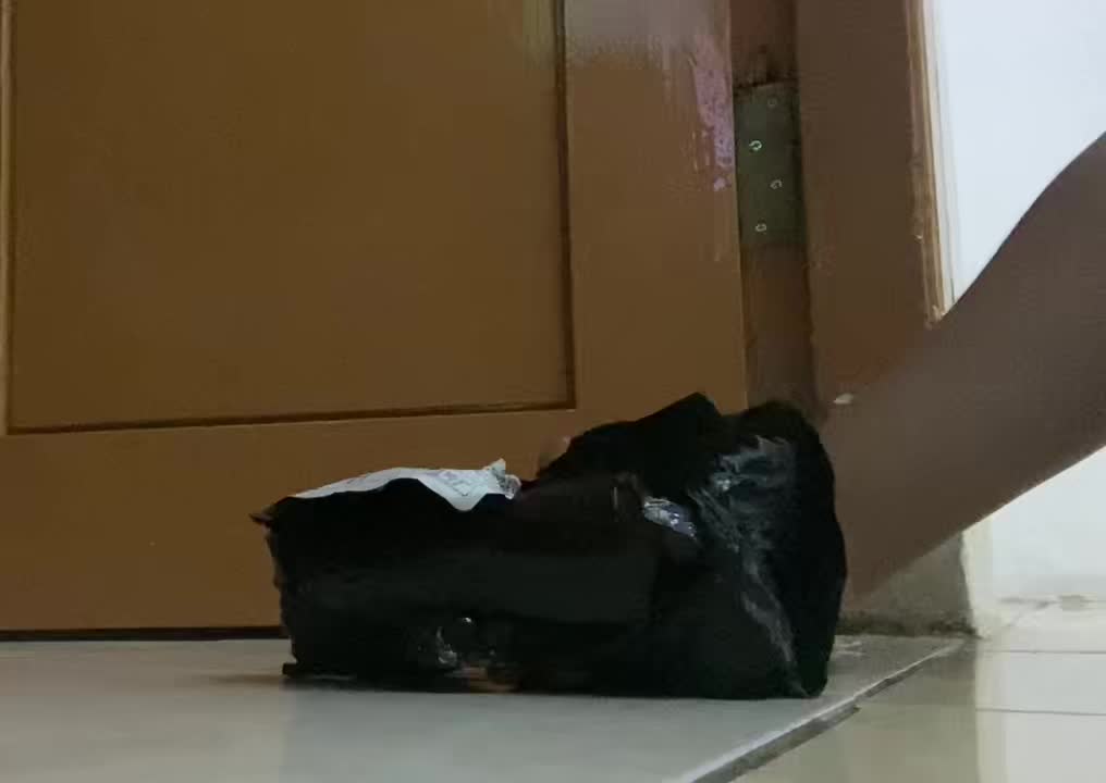 review image 8