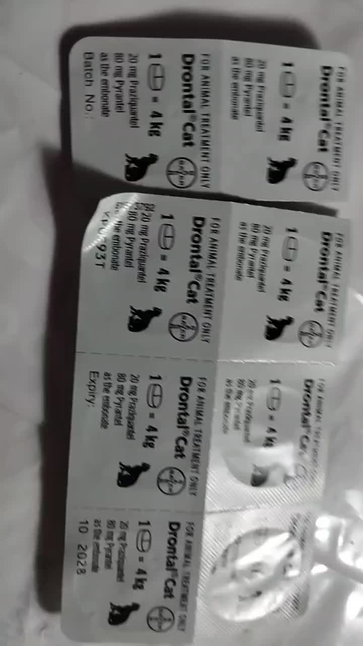 review image 7