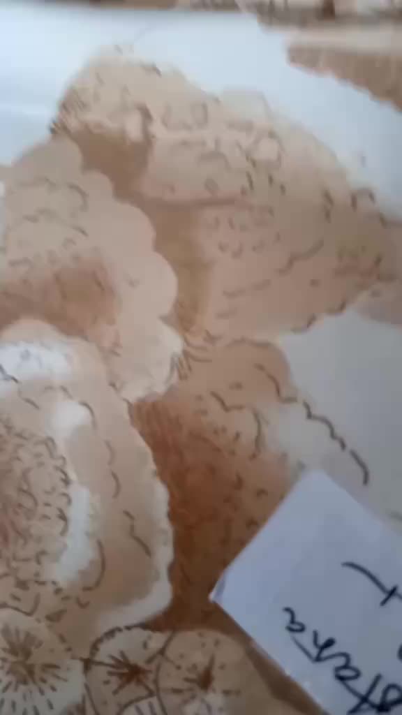 review image 2