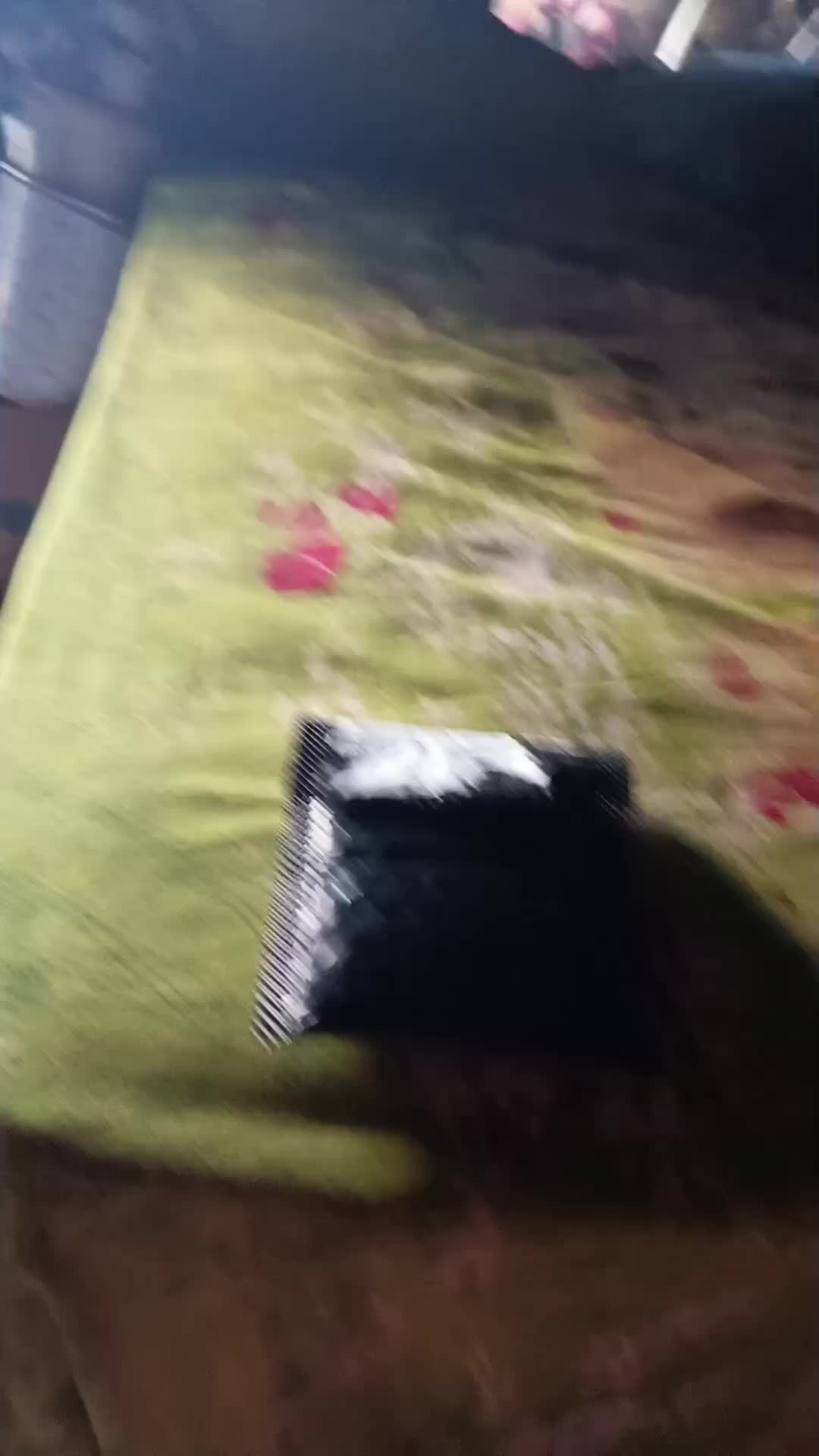 review image 8