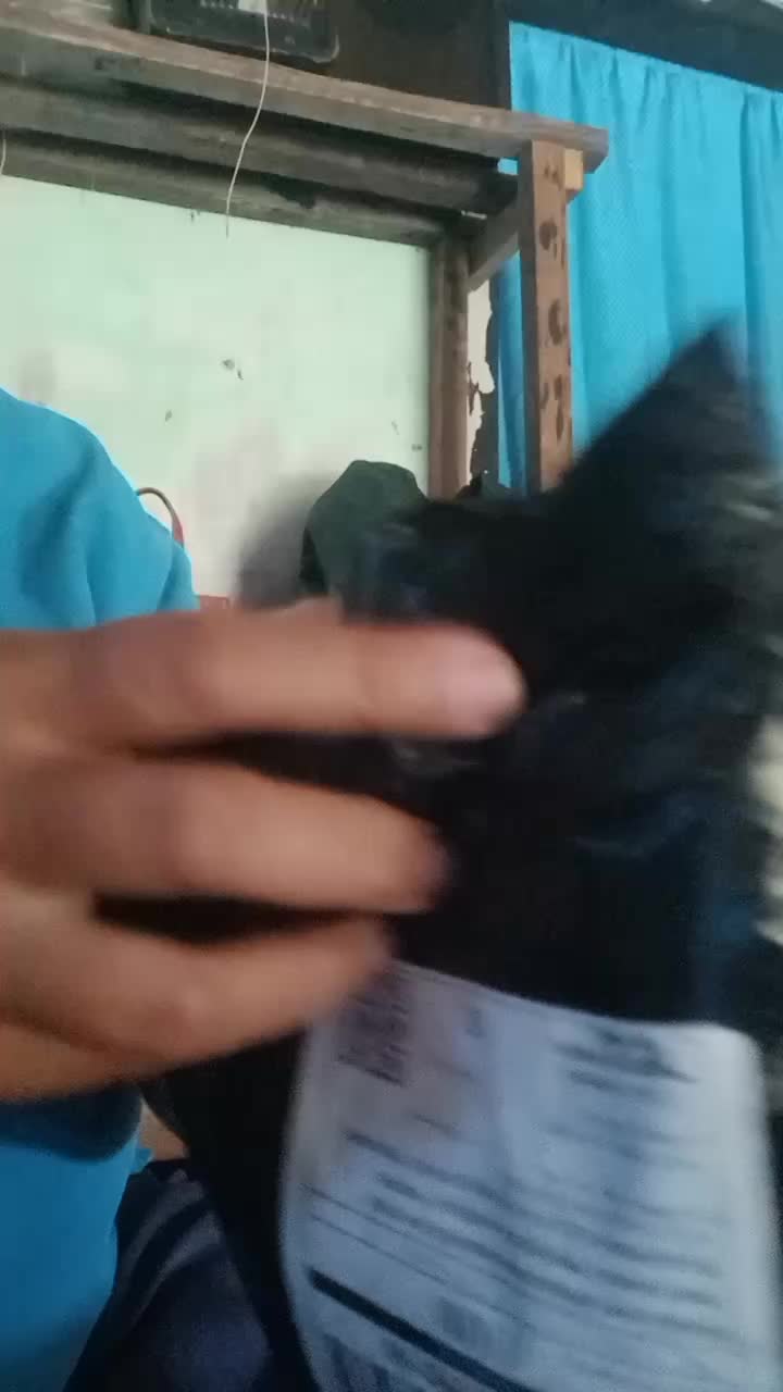 review image 6