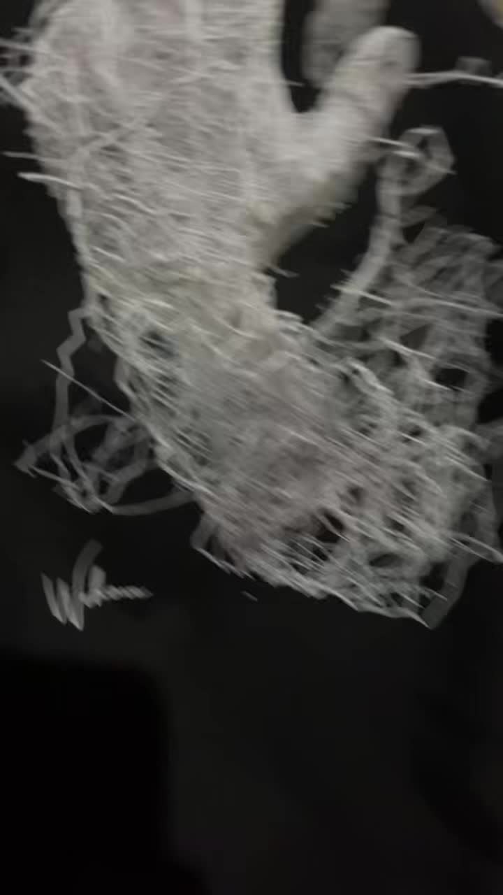 review image 9