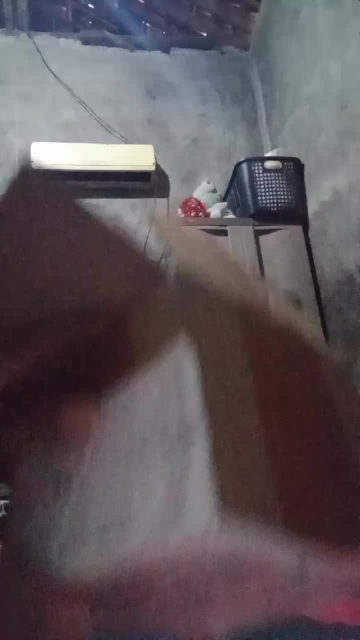 review image 2