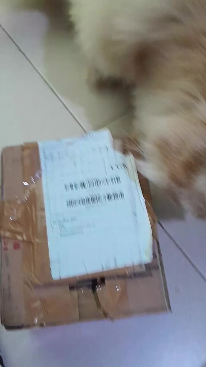 review image 4