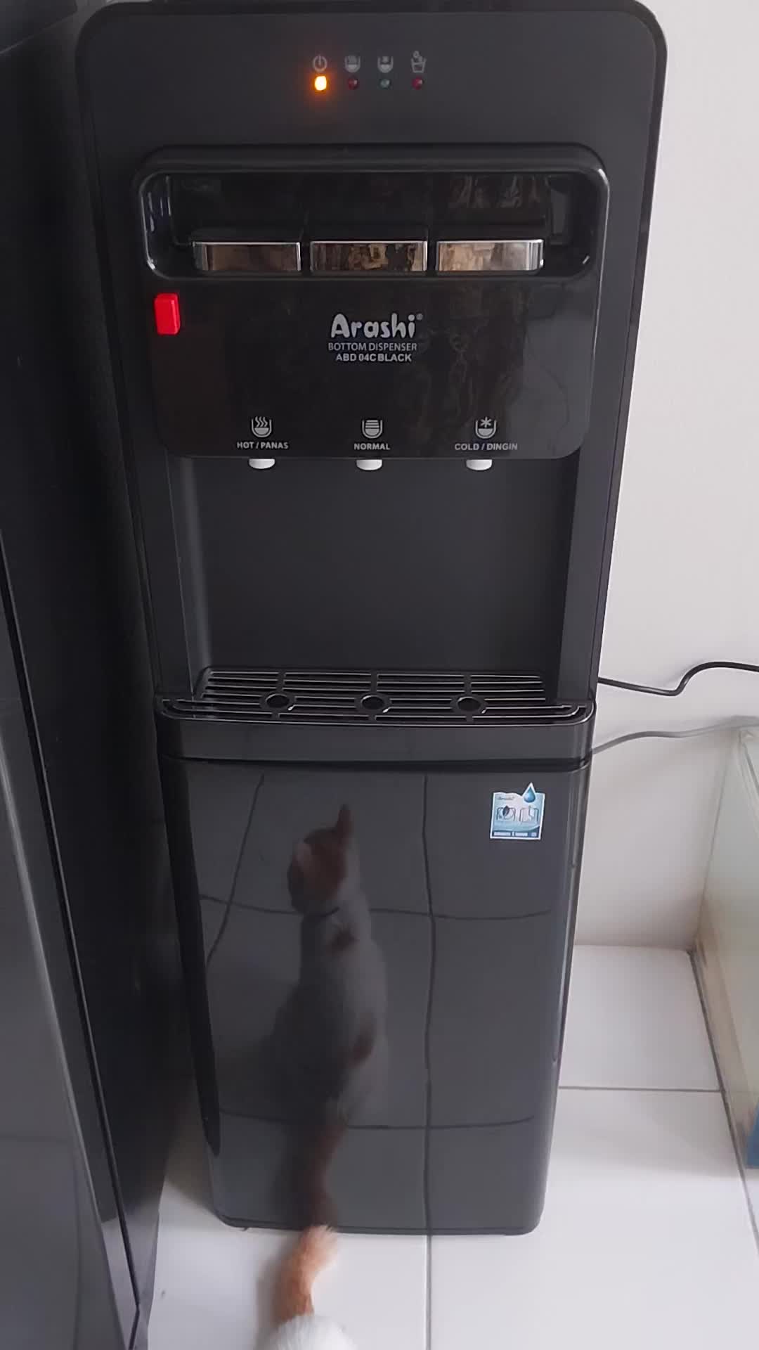 review image 6