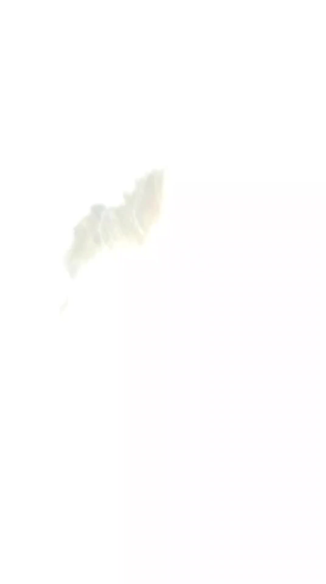 review image 8