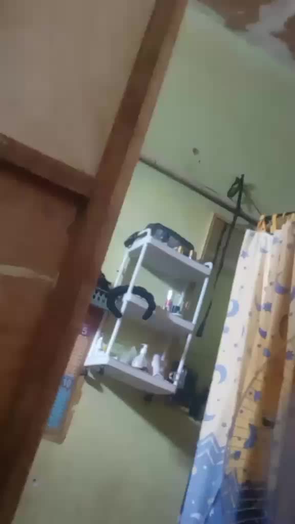 review image 5