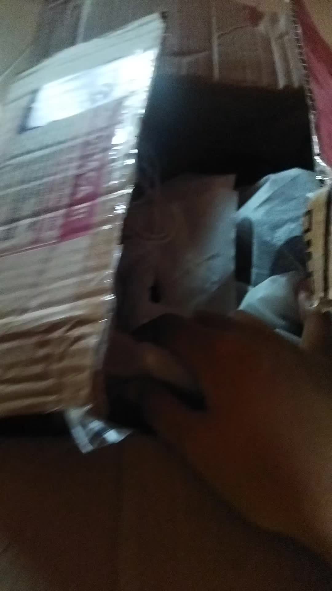 review image 5