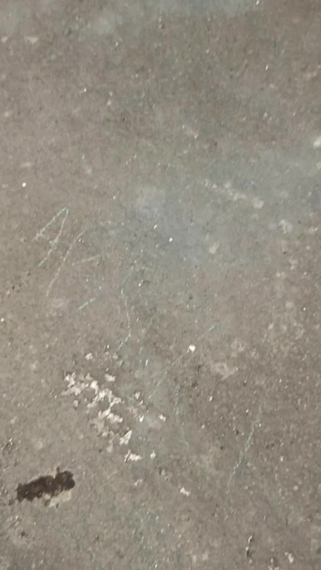 review image 4