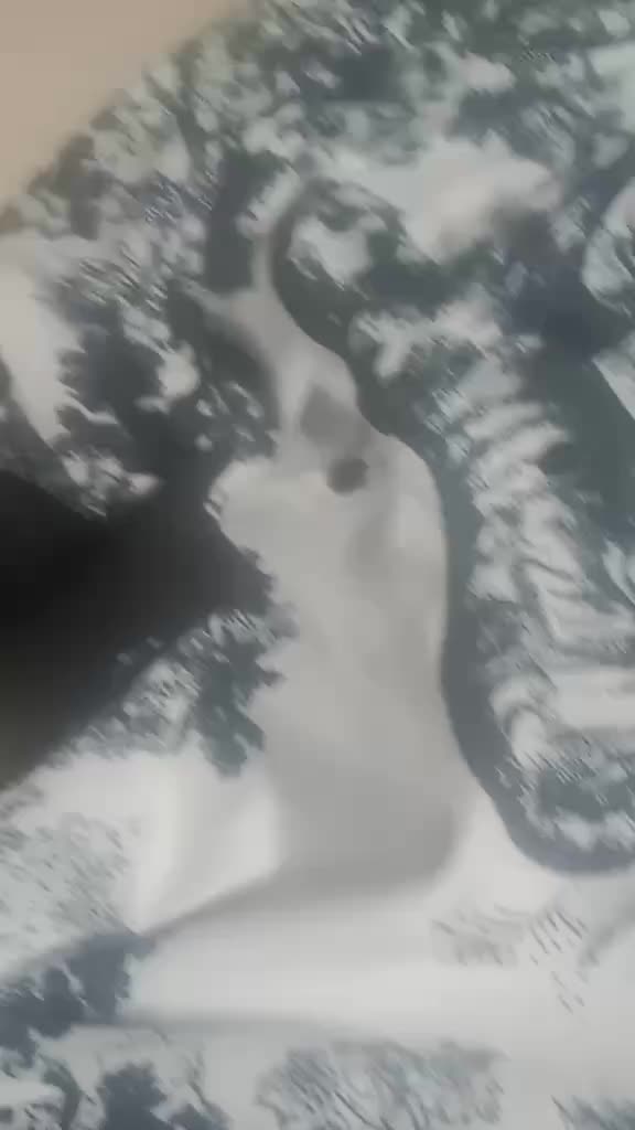 review image 7