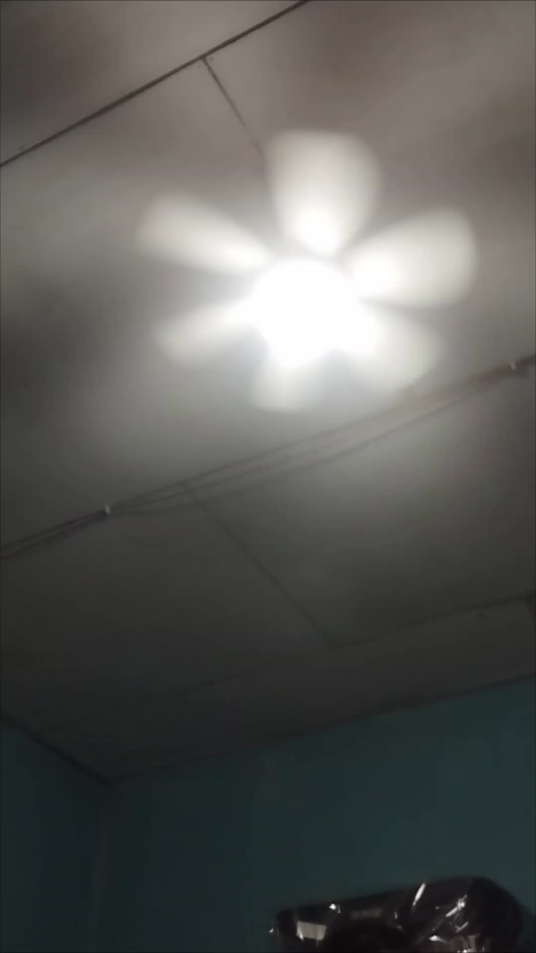 review image 5